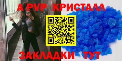стафф Гай