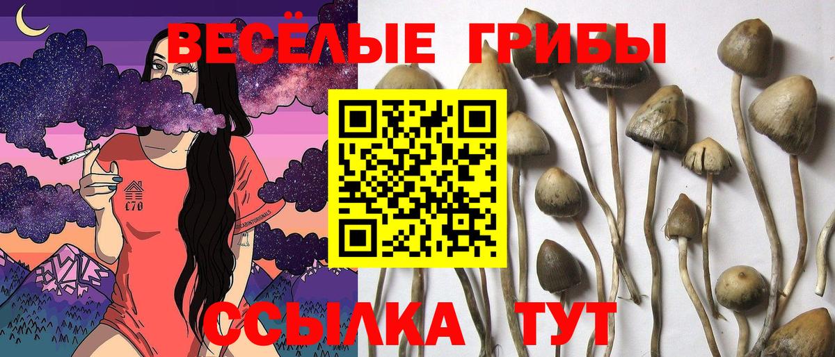 Галлюциногенные грибы мицелий Нижнеудинск