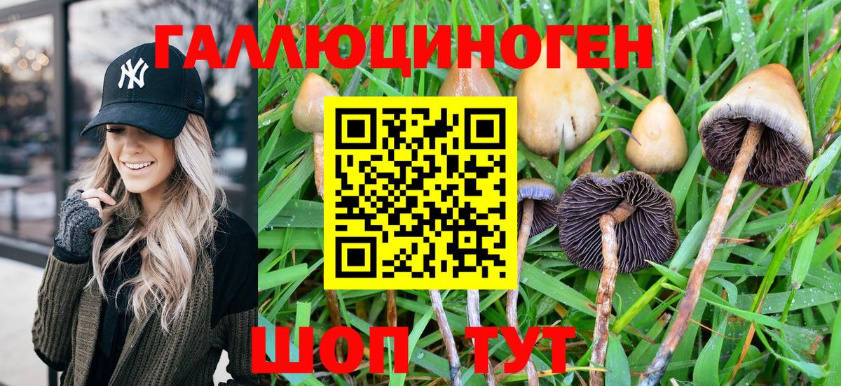 Галлюциногенные грибы Psilocybine cubensis  цены наркотик  Нижнеудинск  Вход с VPN 